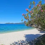 Paradise סאמי